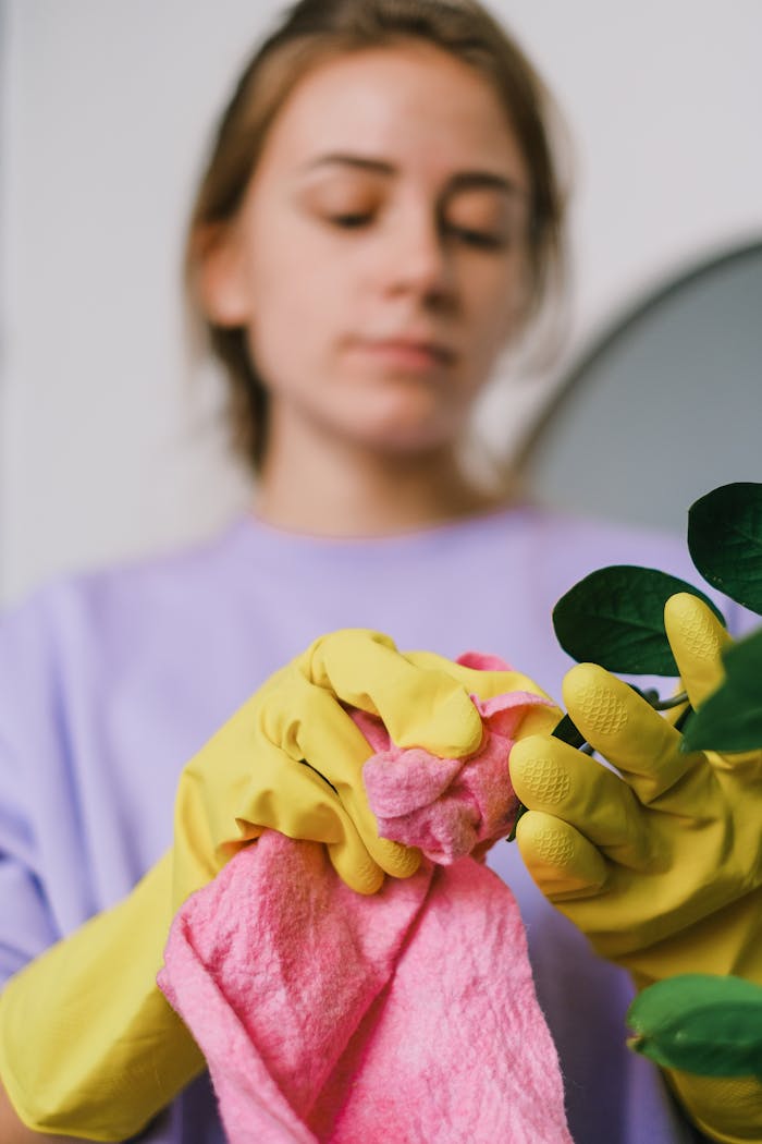 Focused woman in gloves cleaning with a pink towel indoors, emphasizing cleanliness and care.